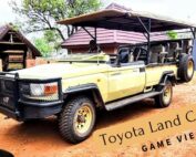 LAND CRUISER