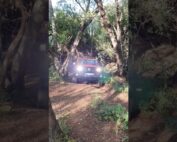 GWM Tank 300 goes 4x4